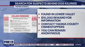 Search for suspects behind brutal dog killings