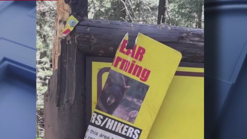 Bear warning sign damaged by bears