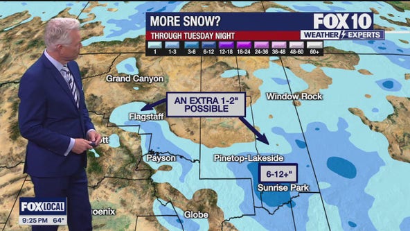 Evening Weather Forecast - 3/25/24 | FOX 10 Phoenix