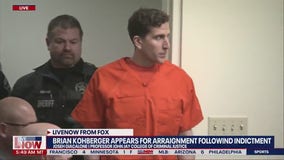 Idaho murder suspect arraignment: judge enters default not guilty plea, expert weighs in
