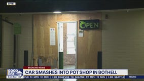 Car smashes into Bothell pot shop