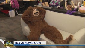 Moment of the Day: Good Day interviews the Disney bear