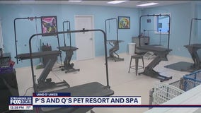 P's and Q's Pet Resort and Spa