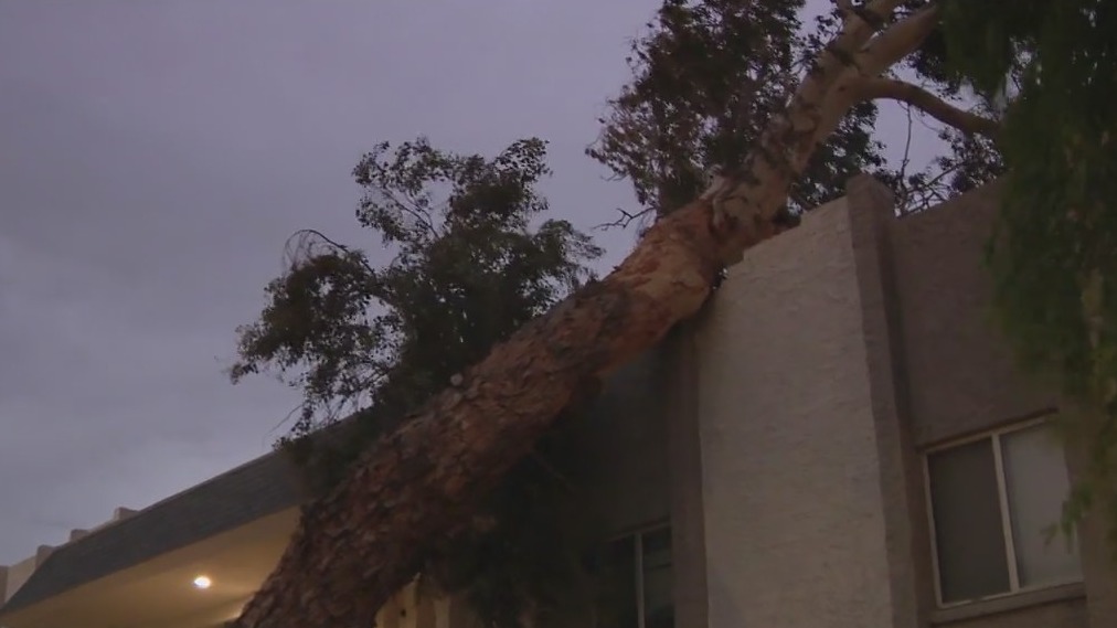A look at storm damage from around the Phoenix area