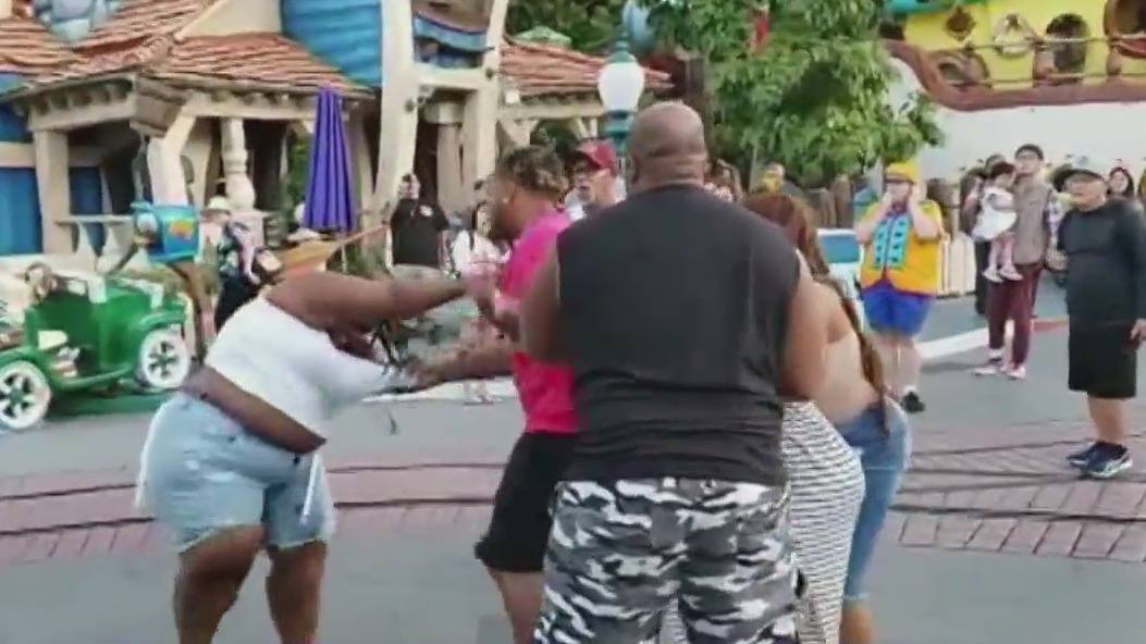 Disney issues warning against fighting at park