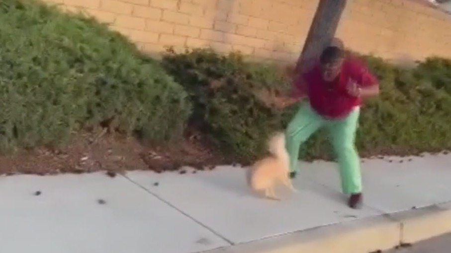 Man assaults dog in Anaheim