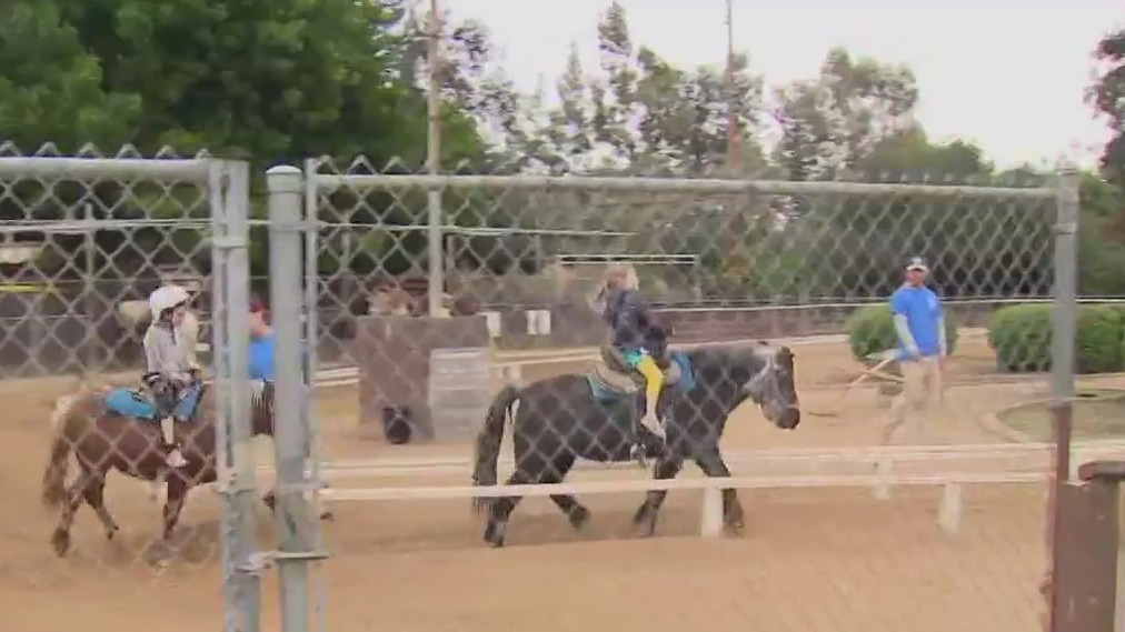 Public to weigh in on closing of Griffith Park Pony Rides
