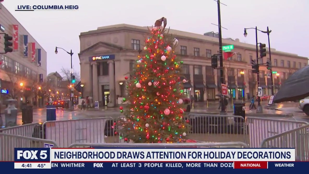 Columbia Height's 'Tiny Timber' takes DC by storm