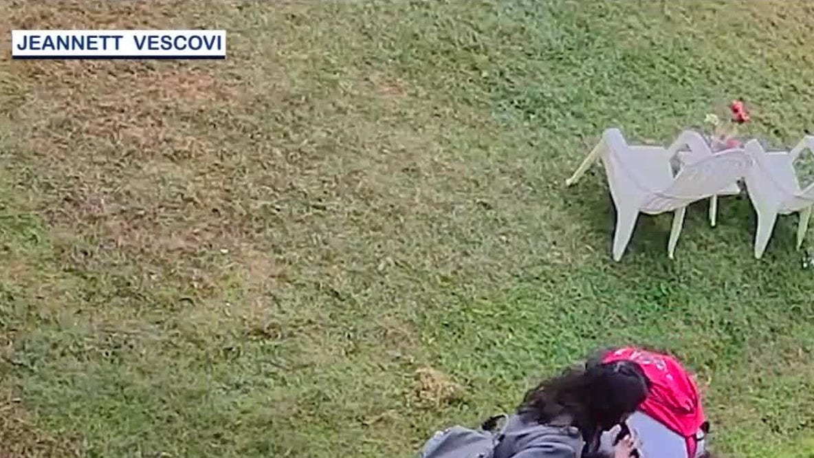 'Terrified!': Family, pet dog attacked by 2 other dogs