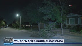 Winds smack Rancho Cucamonga