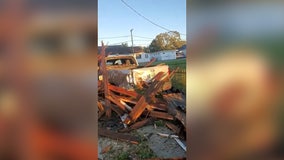 Trees downed and buildings damaged by tornado in New Orleans