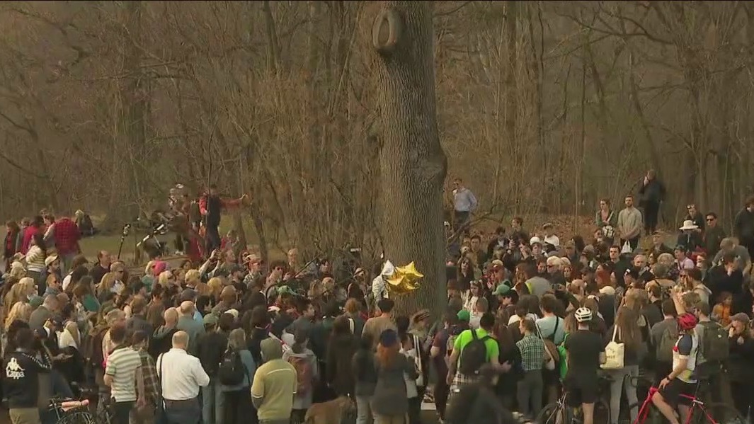 Memorial for Flaco the owl