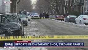 Chicago teen shot twice in head walking home from school: officials