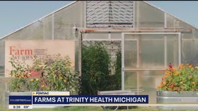 The Doctor Is In: The Farm at Trinity Health