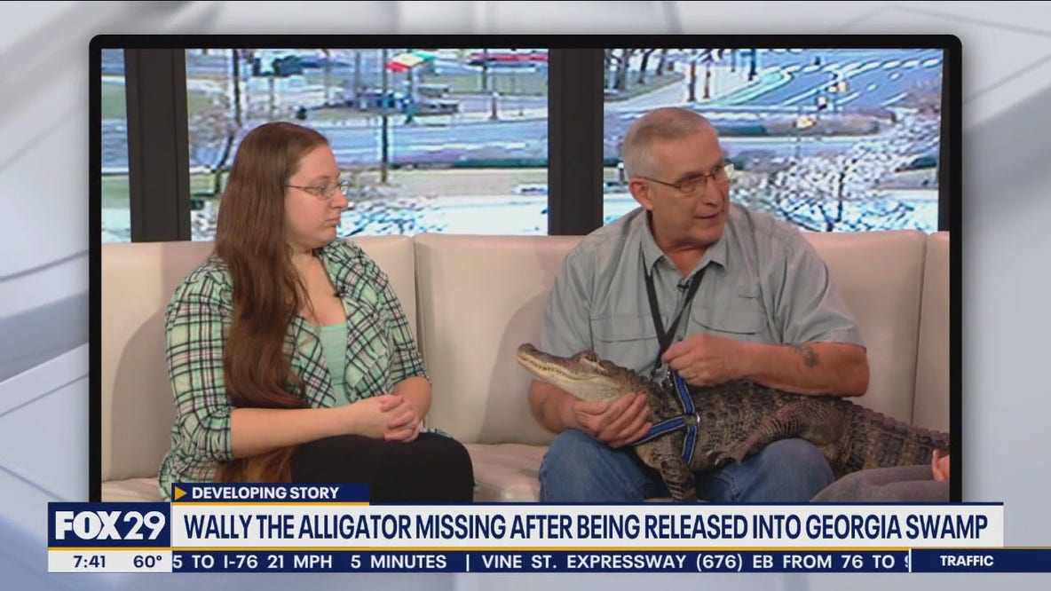 Pennsylvania man's emotional support alligator stolen, released into Georgia swamp