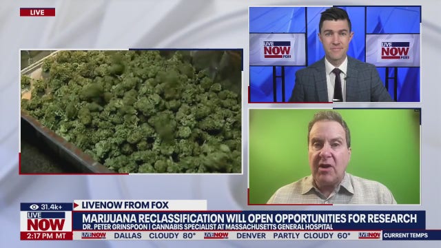 Trump considers reclassifying marijuana as less dangerous drug: report