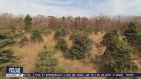 Beloved South Jersey Christmas tree farm to be sold