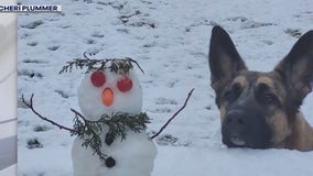 FOX 11 viewers send cute family, pets in snow photos: Feb. 24