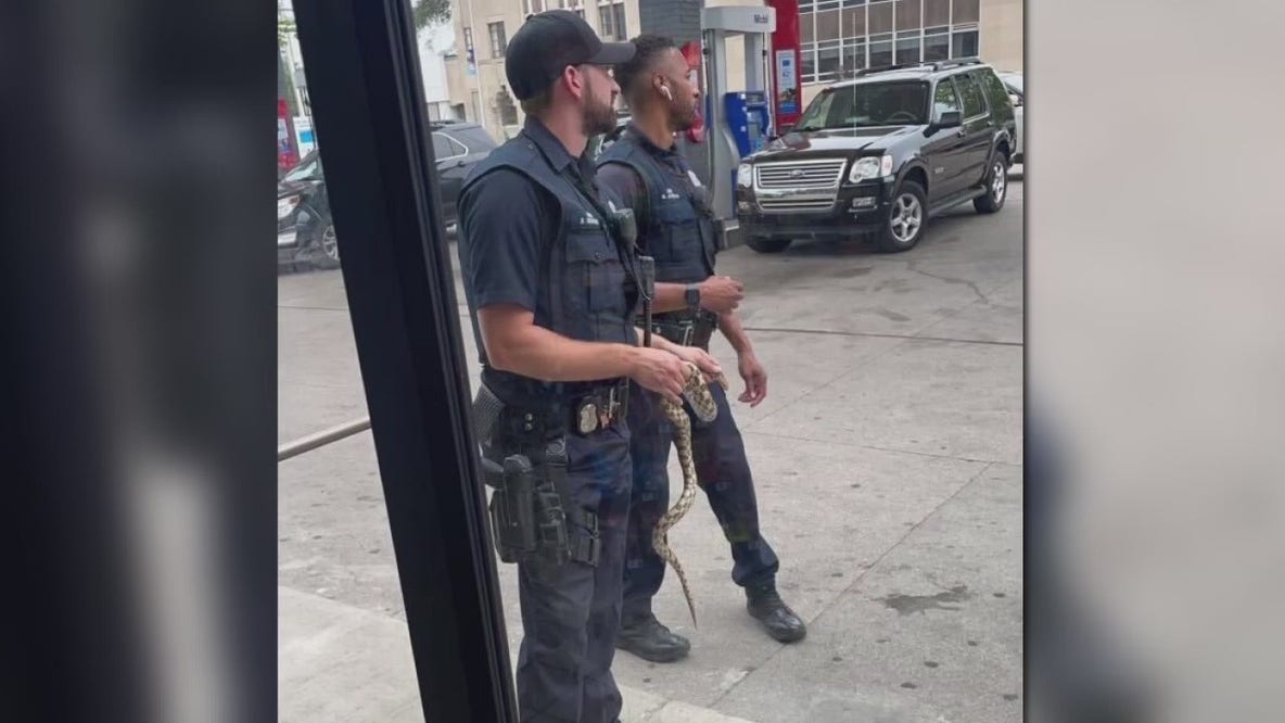 Snake found at Detroit gas station leads to panicked call to police