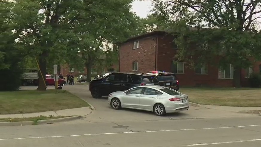 Pregnant woman dies after being hit by car but her baby son was saved