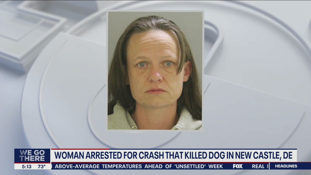 Woman arrested for crash that killed dog in Delaware