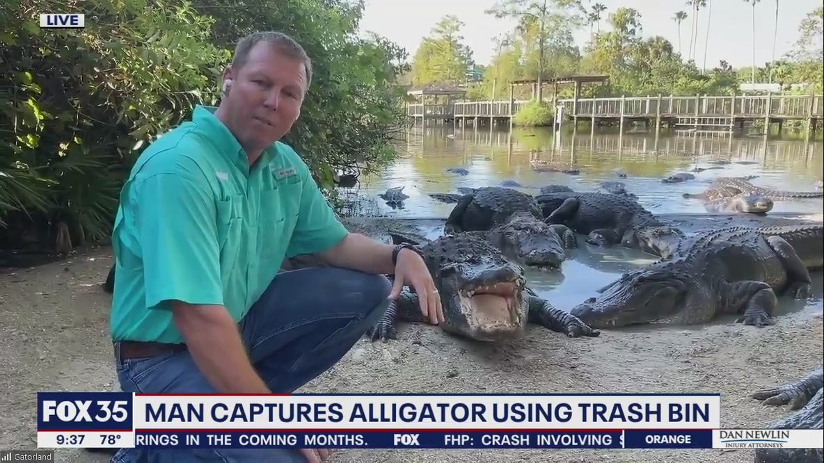 Florida man captures alligator using trash bin