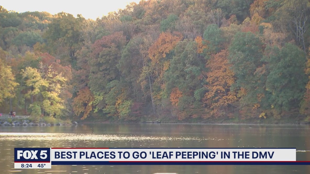 Best places to go "leaf peeping" in the DMV