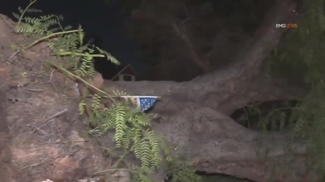 High winds knock down trees in SoCal