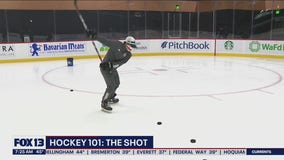 Hockey 101: The Shot