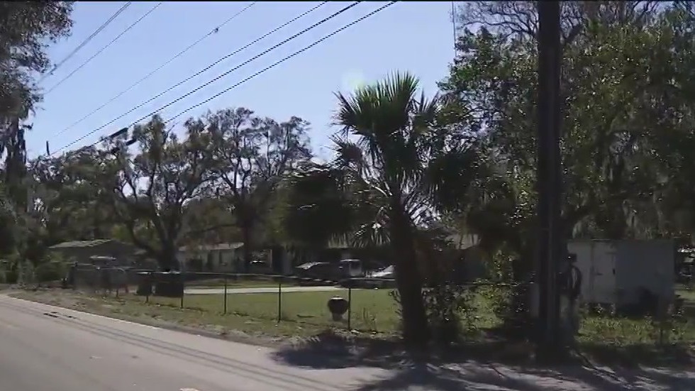 Newborn baby found abandoned in Florida woods