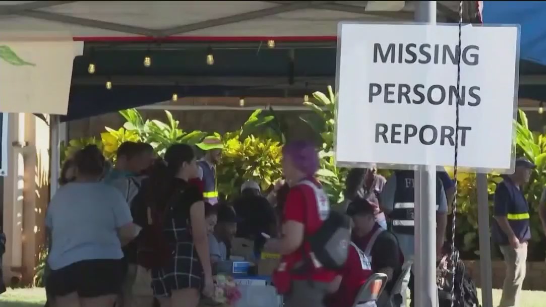 Search for survivors in Maui