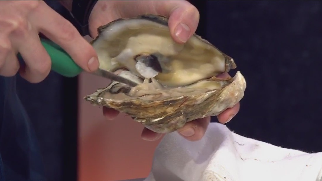 How to shuck an oyster with Lenoir