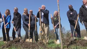 Trees planted at Patton Park for Earth Day