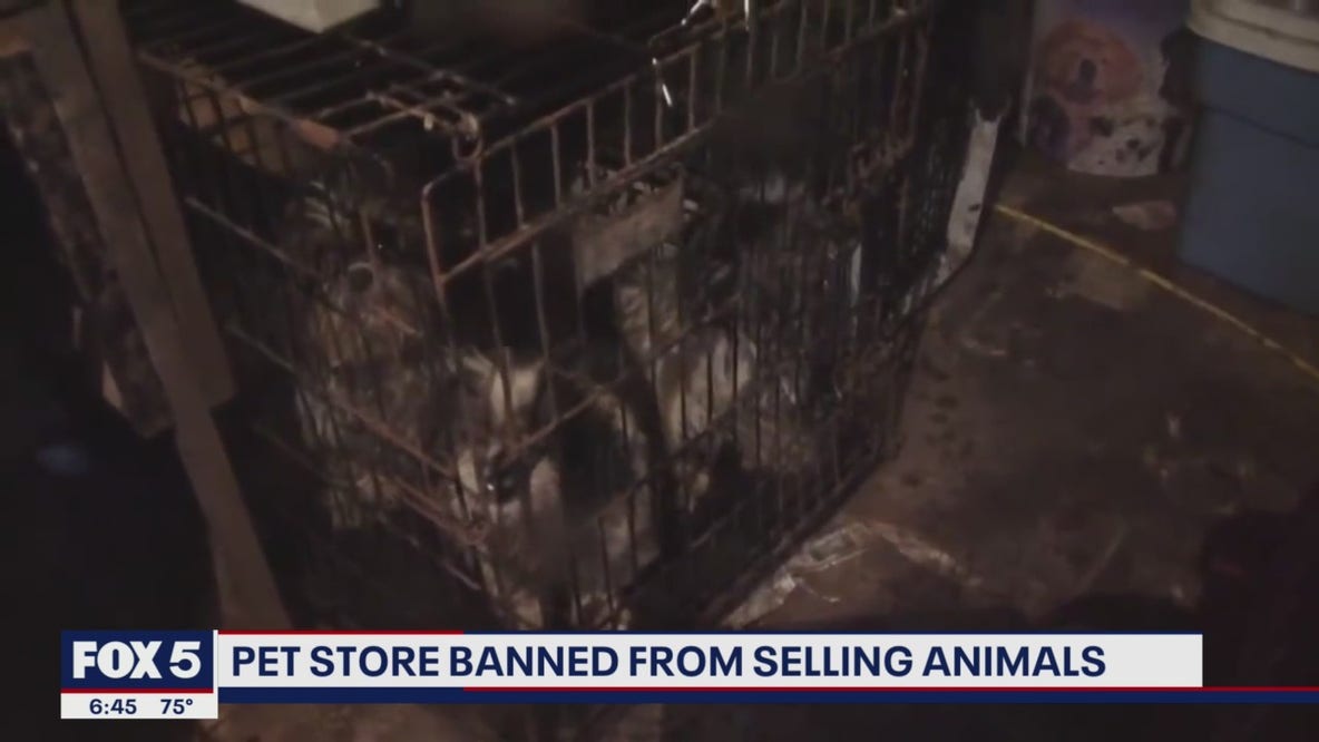 Pet store that persisted in selling puppies despite ban settles with Maryland