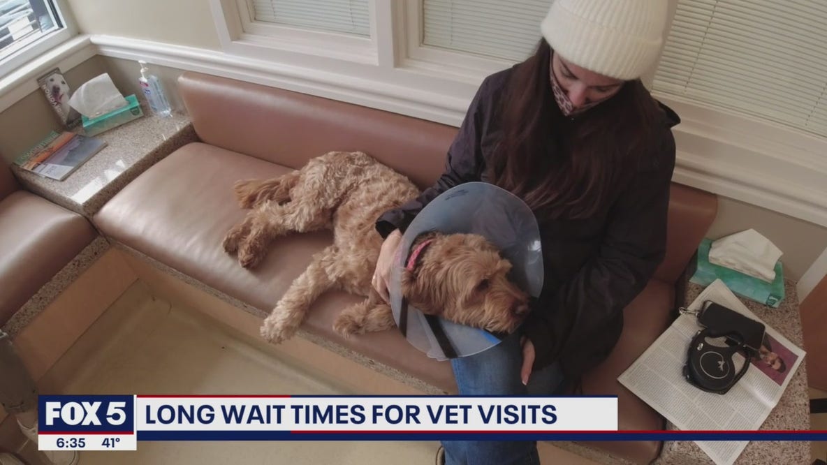 DMV residents experiencing long wait times at vet visits