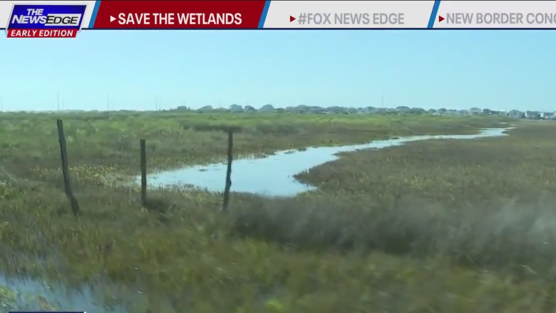 Non-profit trying to save Galveston wetlands