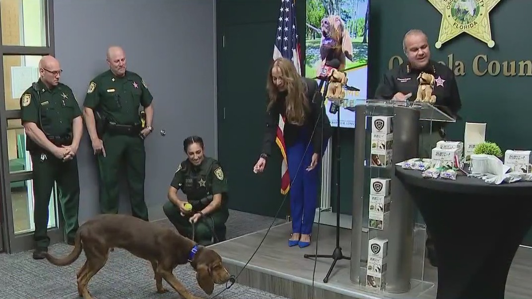 New tool helps K-9s locate missing persons