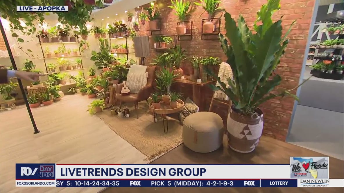 Livetrends Design Group in Apopka