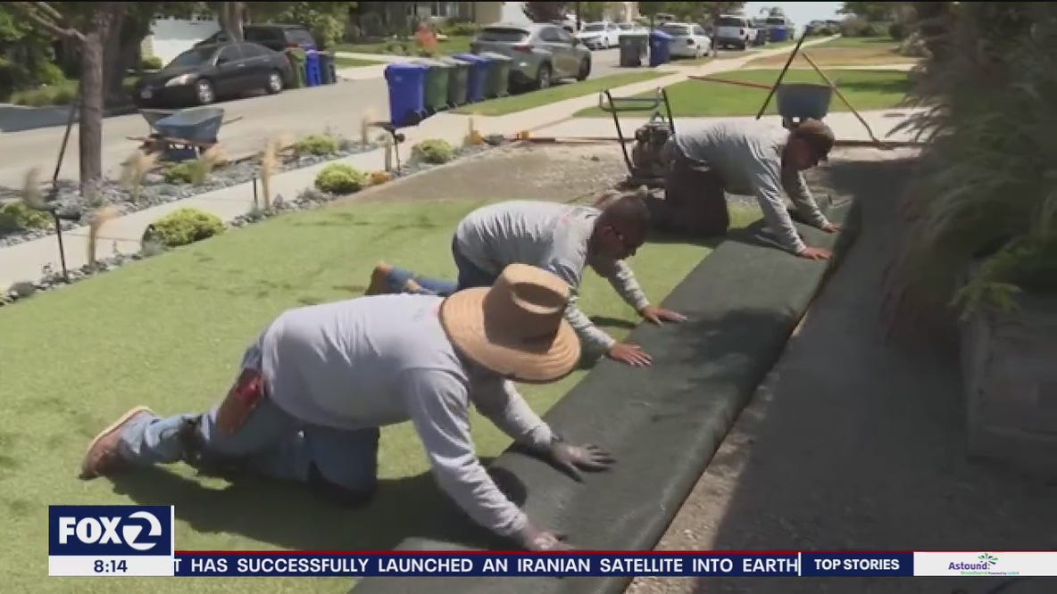Fake grass is real solution to drought conditions