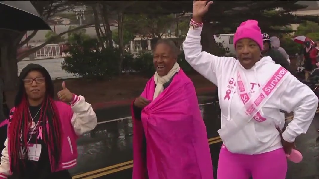 Hundreds brave the rain to raise money for breast cancer research, celebrate survivors