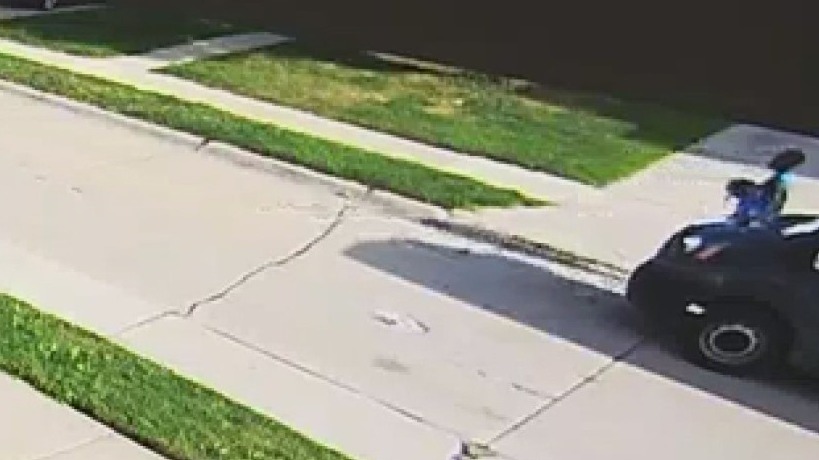 Center Line man says Amazon driver stole his dog - and has it on video