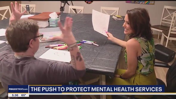 Art Therapists push legislation for protection and value in Michigan