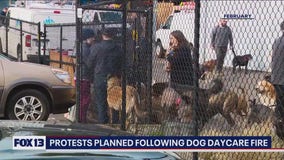 Protests planned following dog day care fire