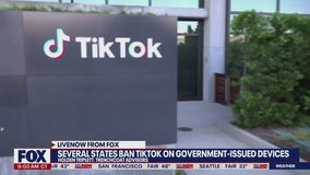 Former FBI official weighs in on TikTok controversy