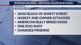 Horrific dog attack leaves Husky dead, multiple people injured in Highland