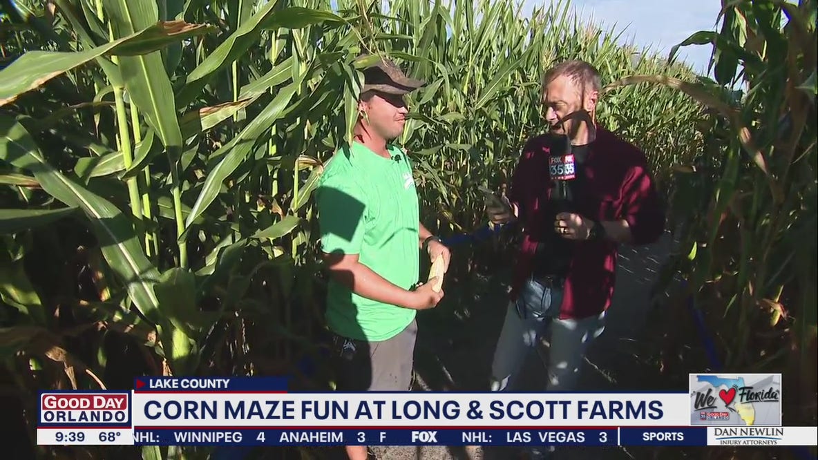 Corn maze fun at Long & Scott Farms