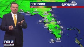 Tampa Weather | Rain likely this week