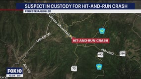 Suspect in custody for deadly hit-and-run crash