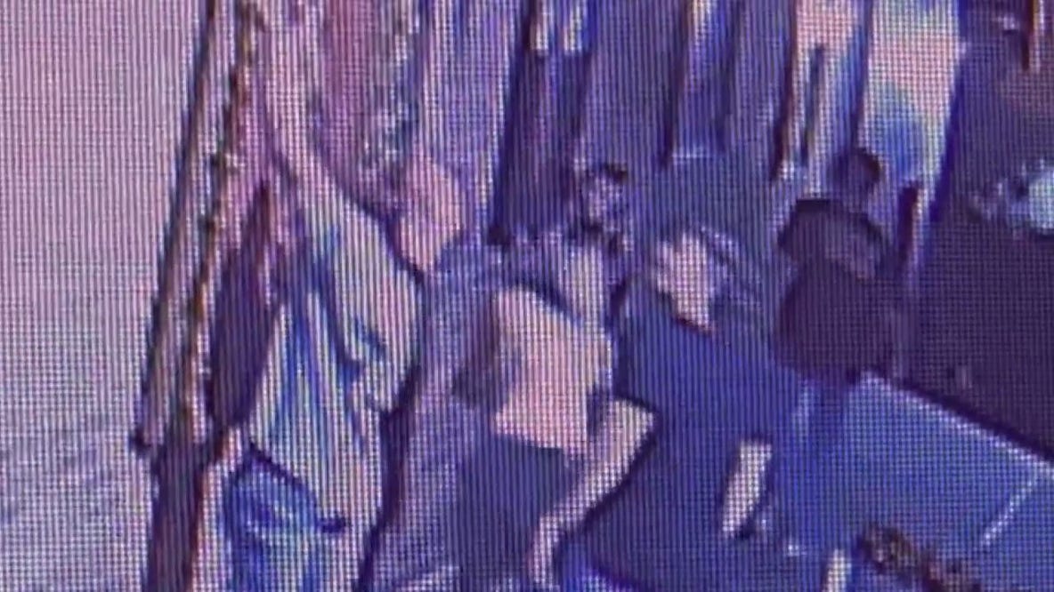 Police looking for vandals for damaging artwork on display in Plymouth