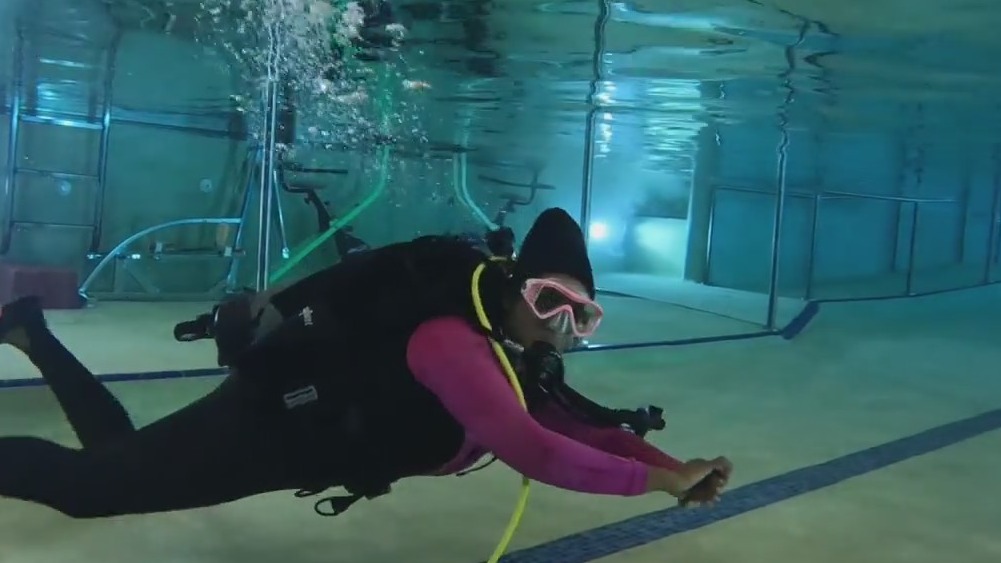 Unicorns of Diving program